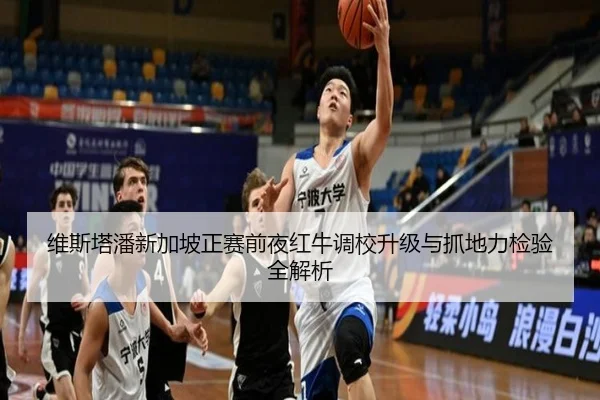 维斯塔潘新加坡正赛前夜红牛调校升级与抓地力检验全解析