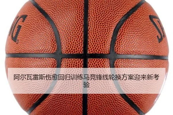 阿尔瓦雷斯伤愈回归训练马竞锋线轮换方案迎来新考验
